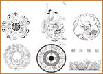 传统花纹 线条插画 传统素材