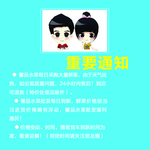 绿色底