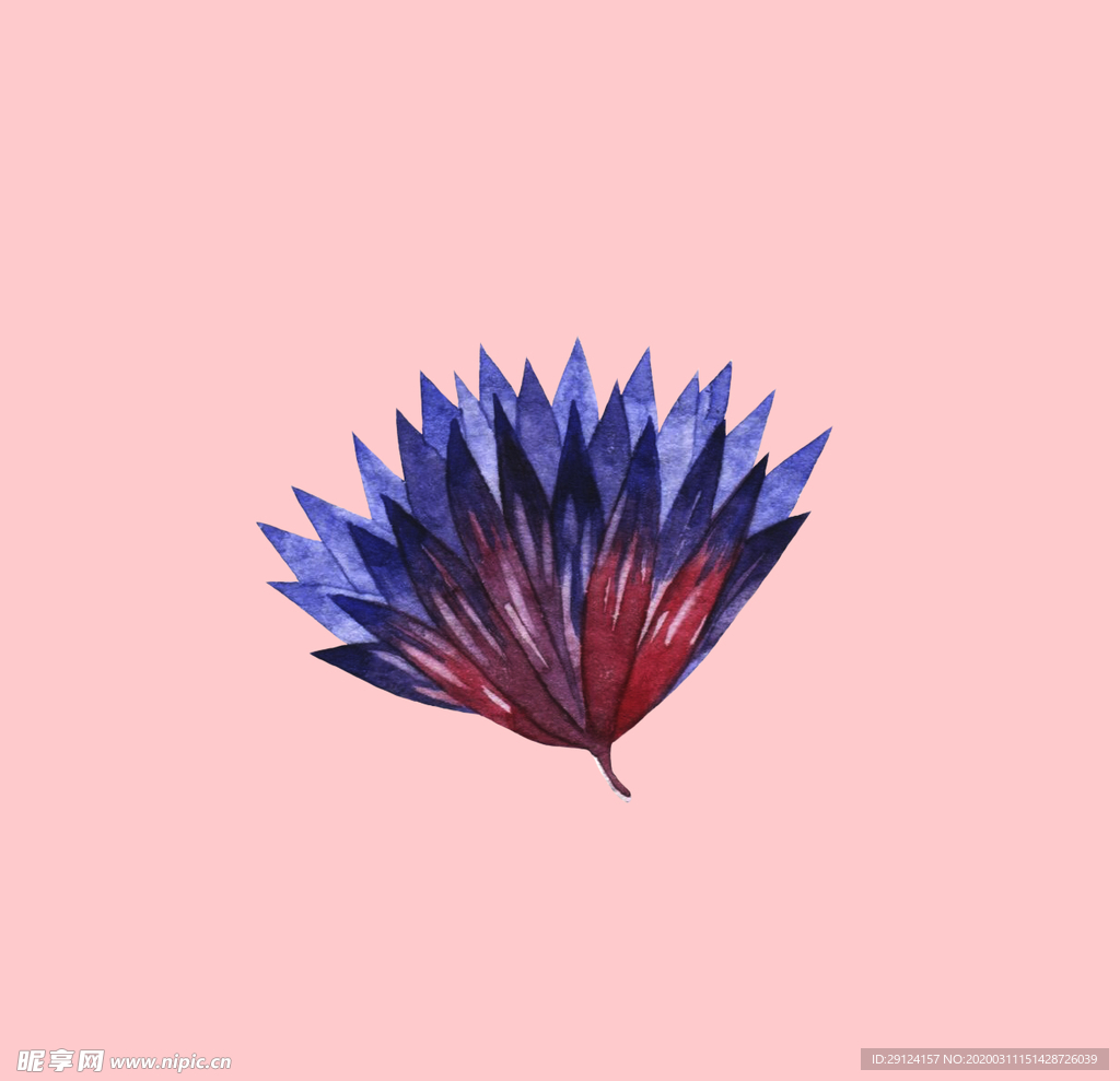 水彩植物
