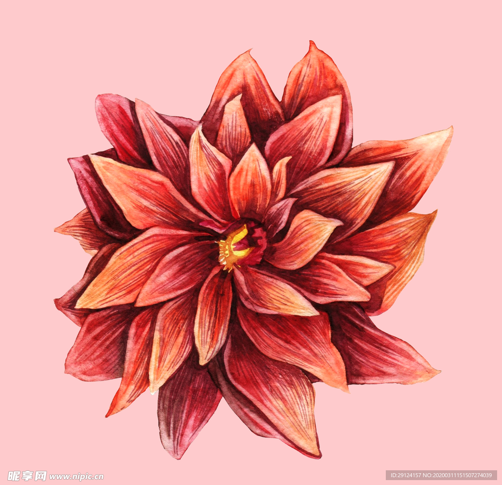 水彩植物