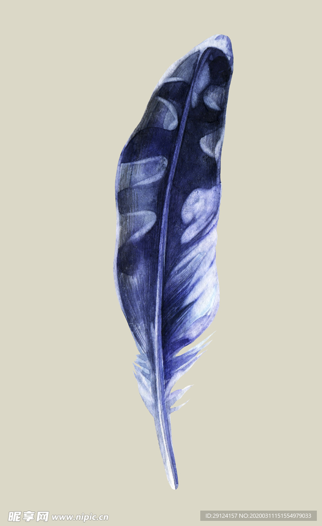 水彩植物