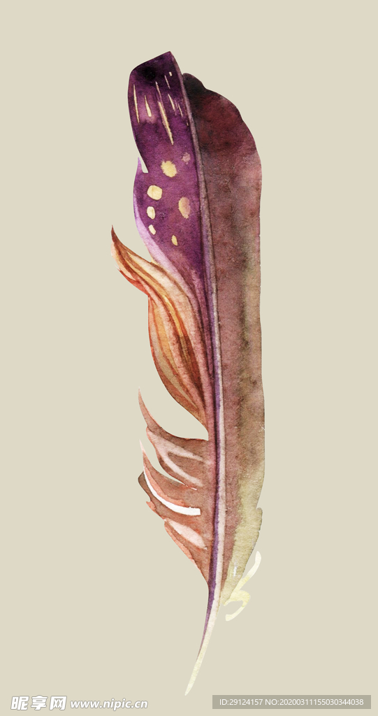 水彩植物