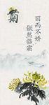 梅兰竹菊 菊花