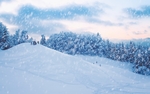 雪景