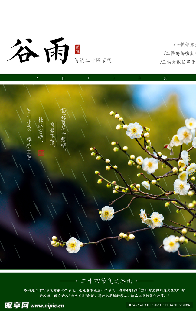 谷雨