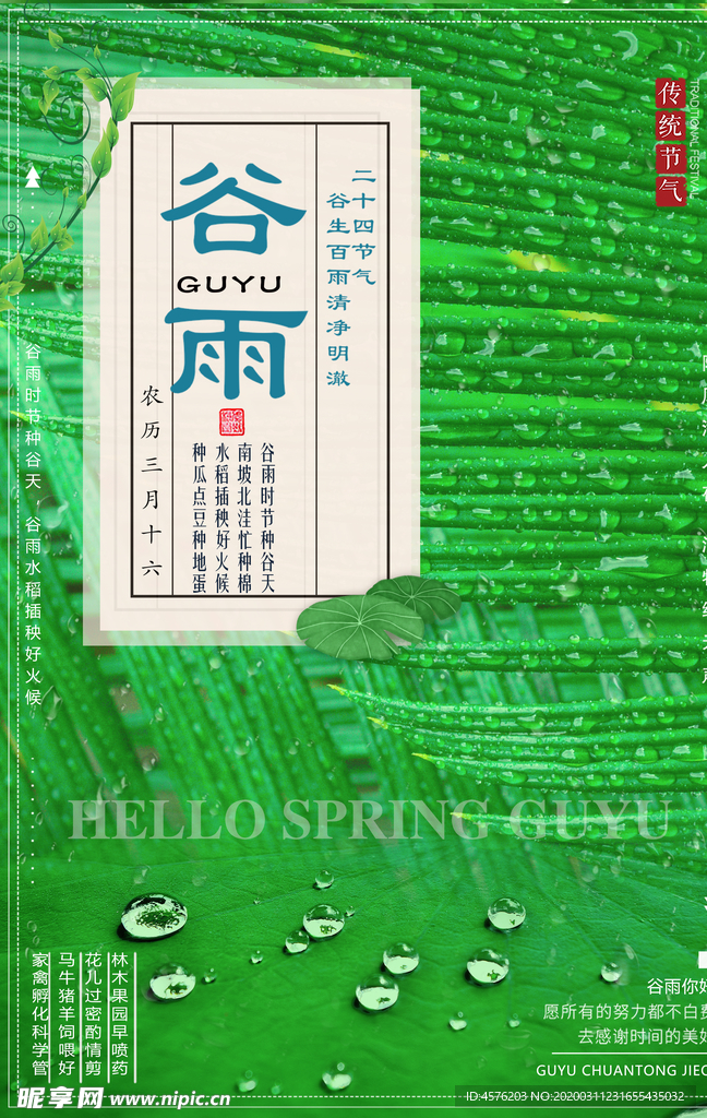 谷雨