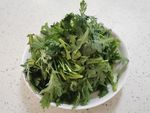 茼蒿