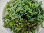 茼蒿