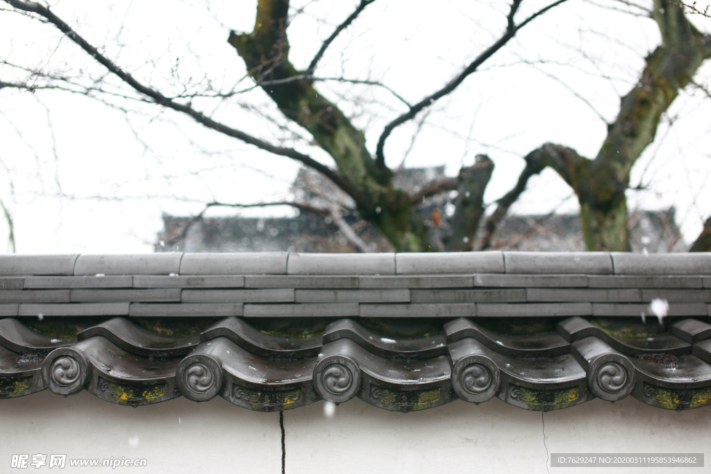 京都晴雪