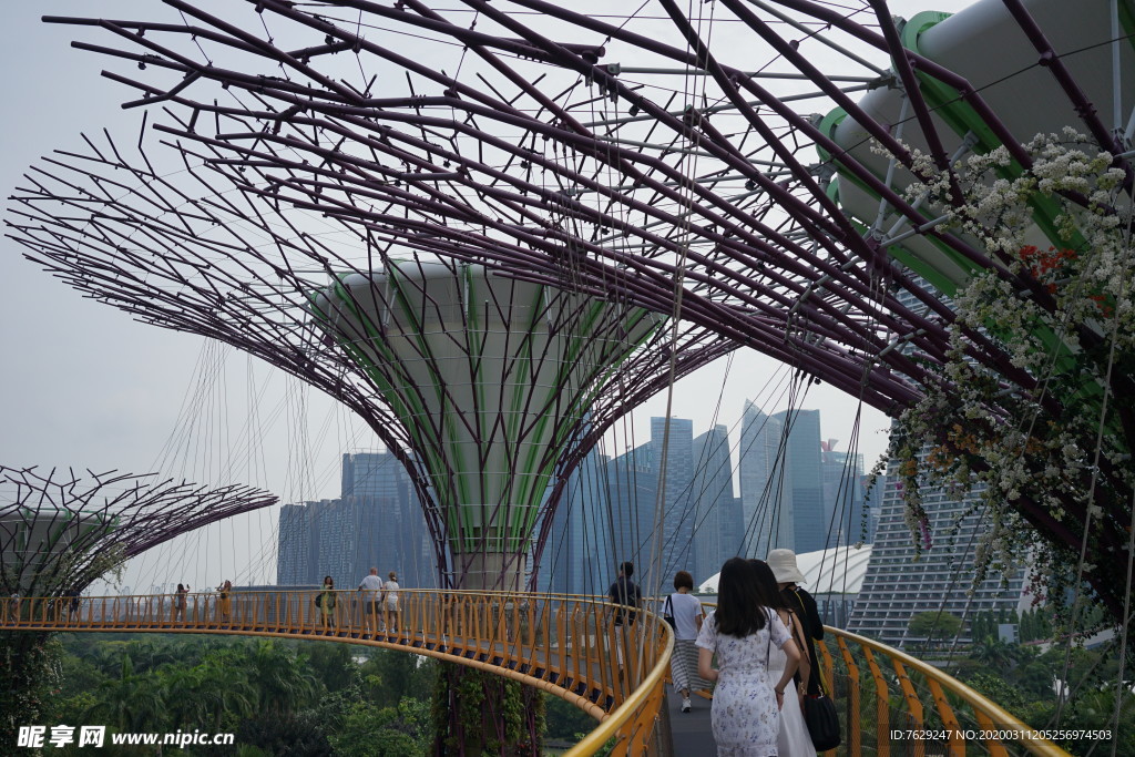 新加坡擎天树空中走廊