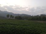 风景23