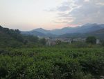 风景11