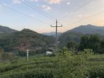 风景