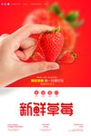 水果广告
