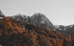 群山森林树木天空风景