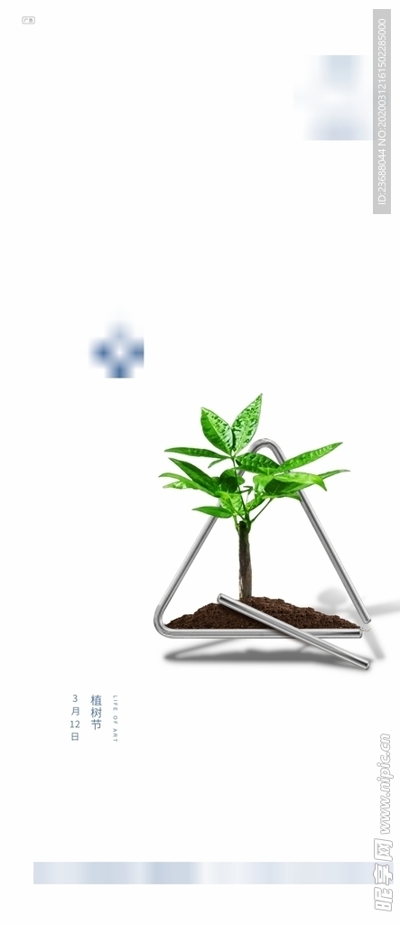 植树节