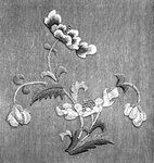 花纹底纹边纹背景图片