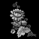 花纹底纹边纹背景图片