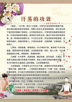 汗蒸介绍汗蒸的好处