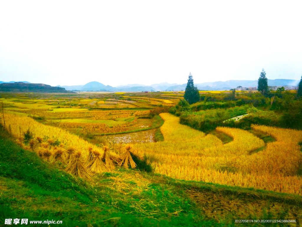 田园风景