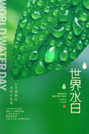 世界水日