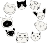 手绘卡通猫