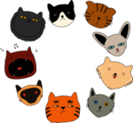 手绘卡通猫