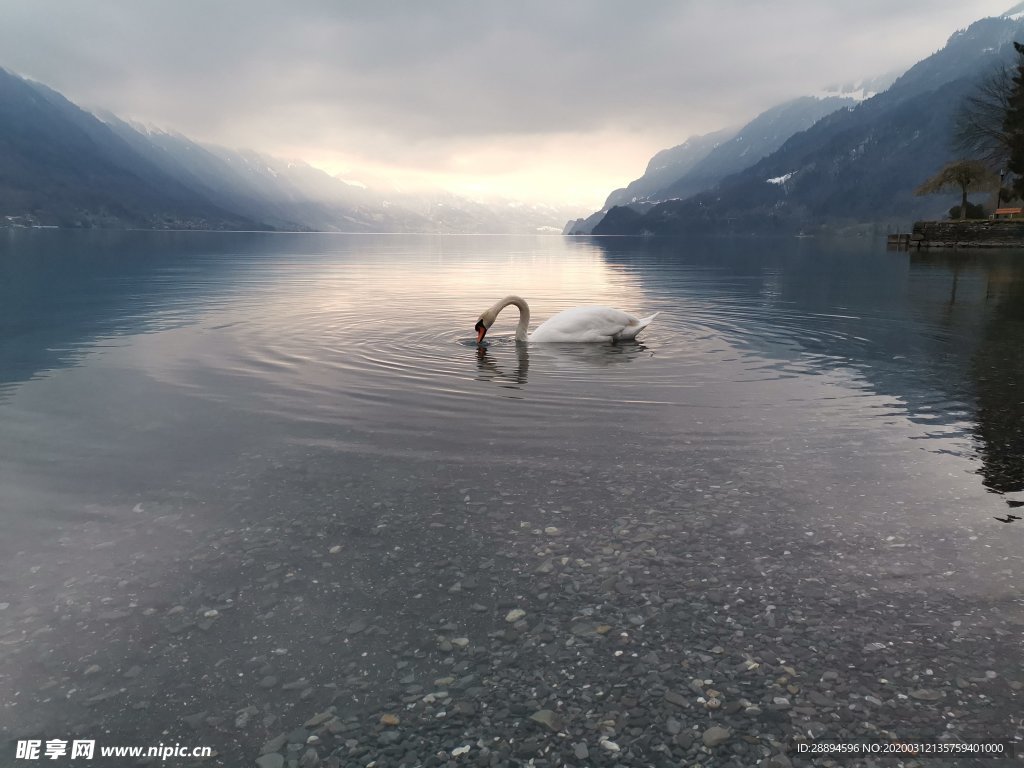 瑞士 雪山 湖泊 恬静 早晨