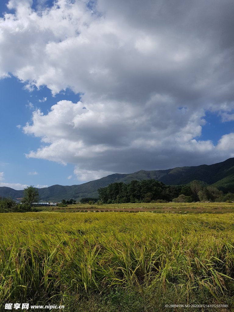 云 农场 天空 谷仓 农村