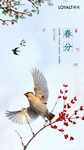 春分海报