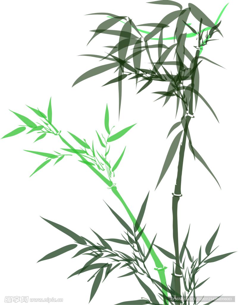 竹子