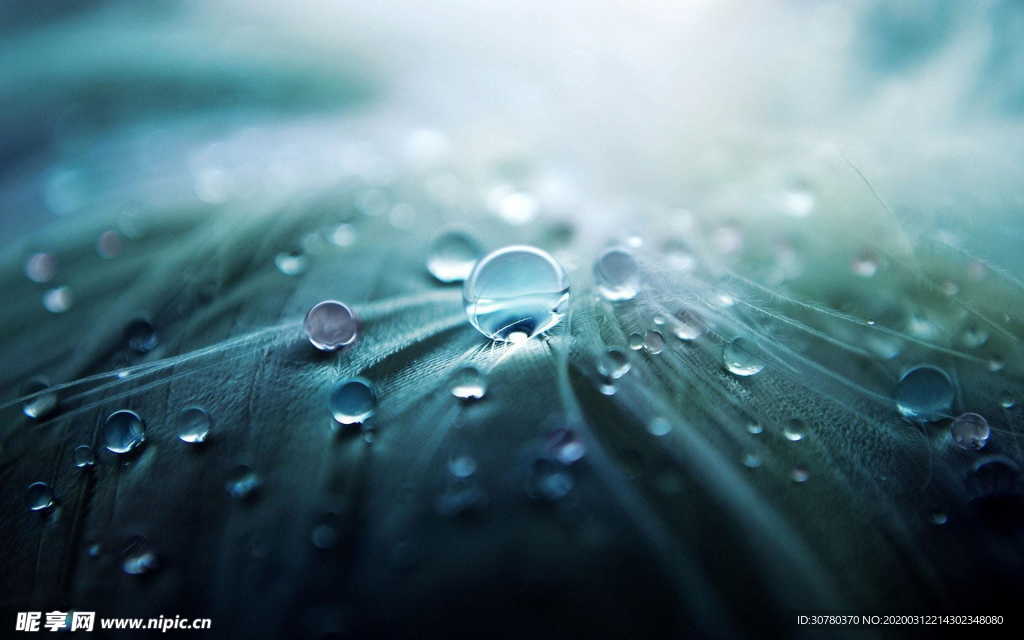 水