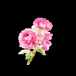 高清花