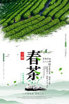 春茶上市宣传海报模板