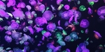 深海水母