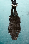 雨天的倒影