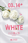 白色情人节 蜂蜜广告 白玫瑰