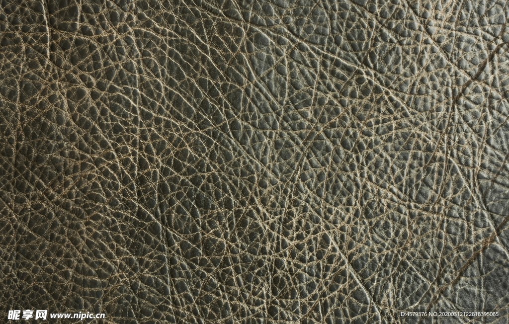 皮革