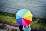 雨伞