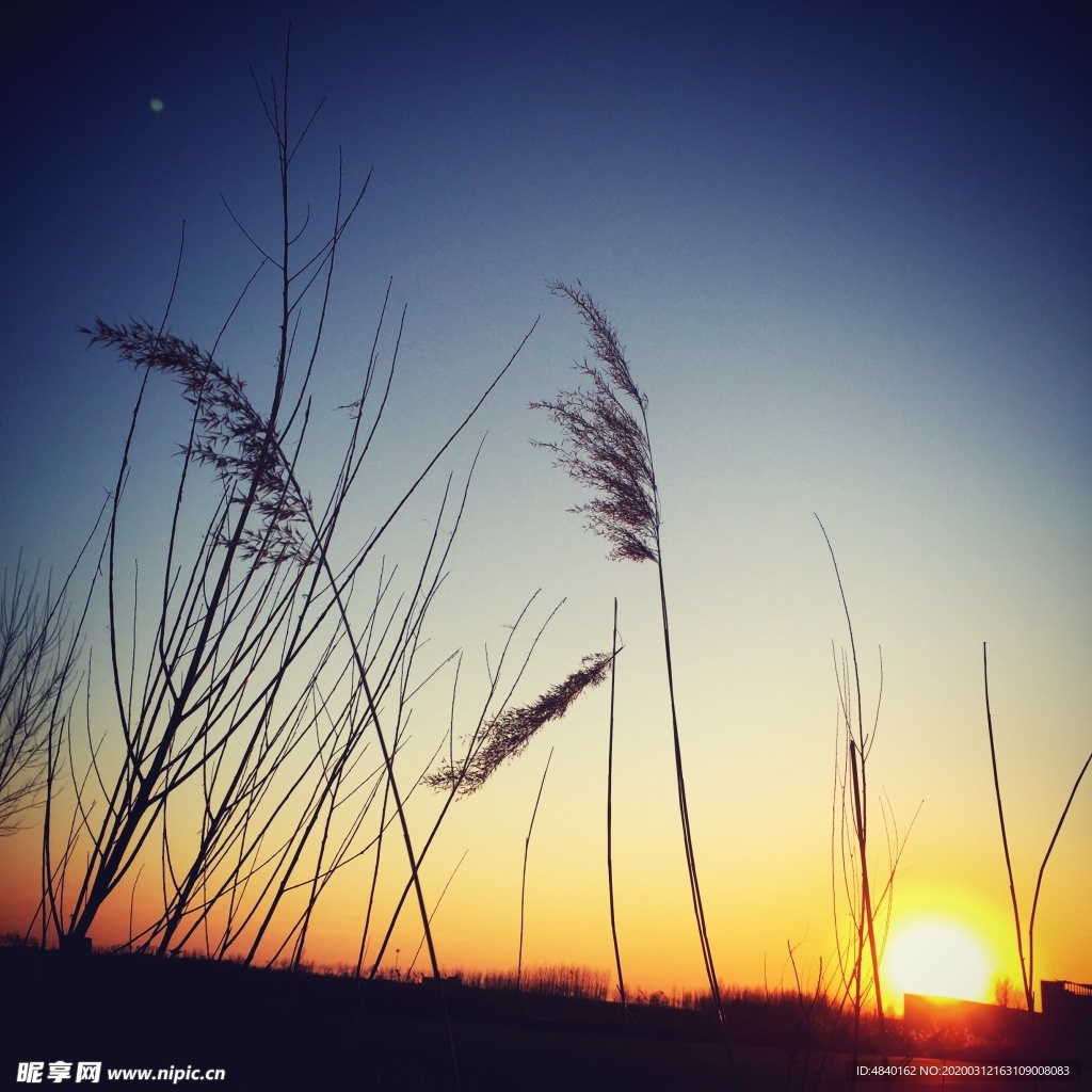 夕阳