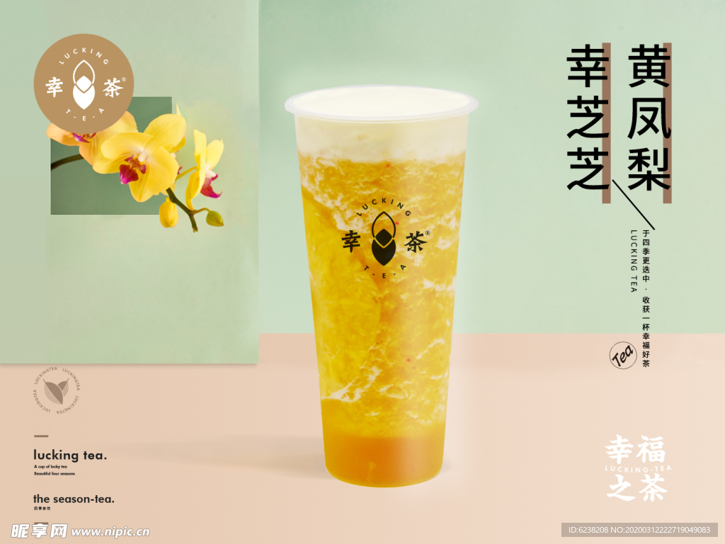 幸芝芝黄凤梨