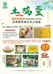 土鸡蛋
