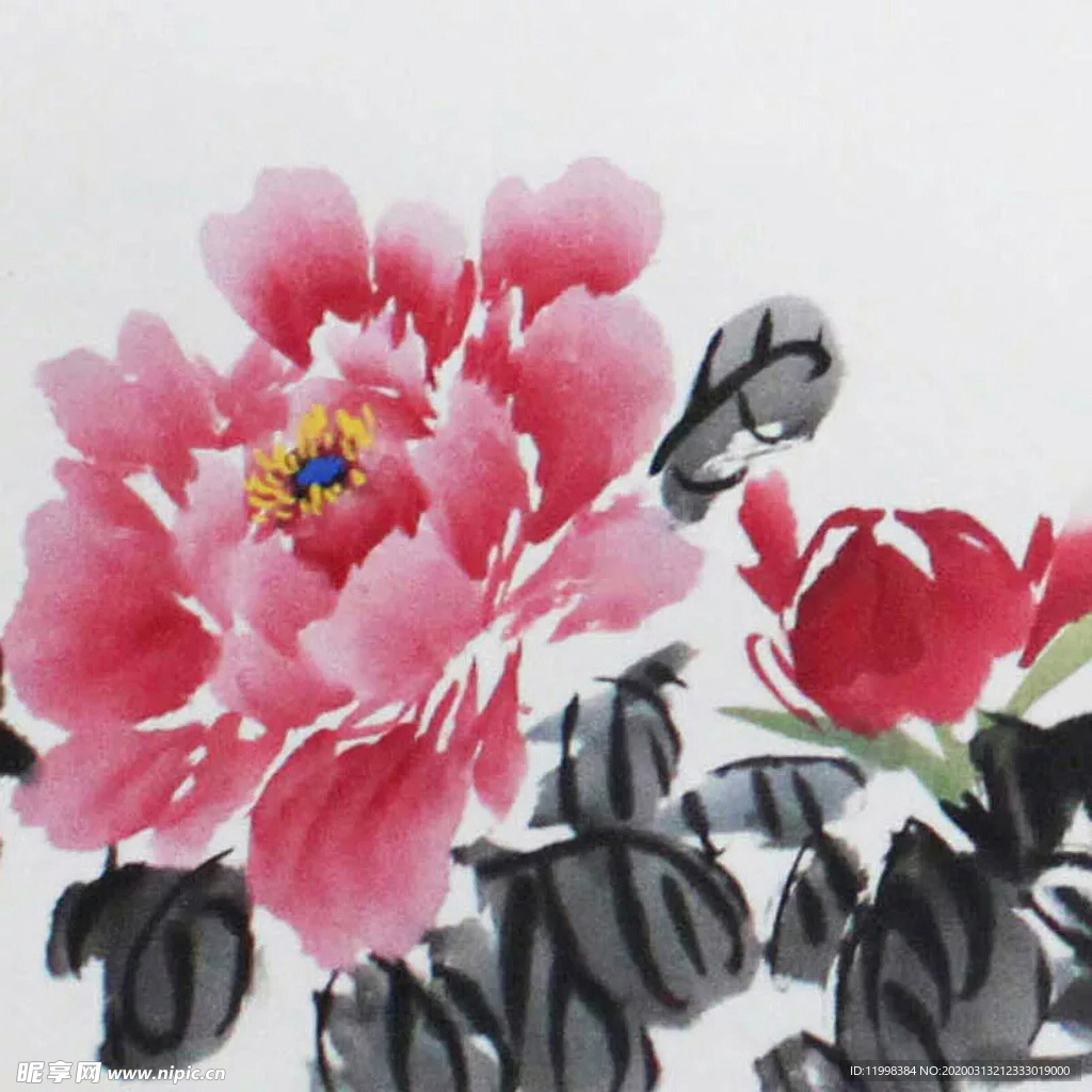 牡丹