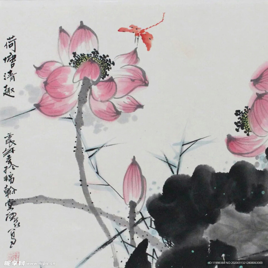 荷花