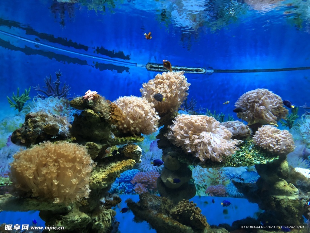 珊湖
