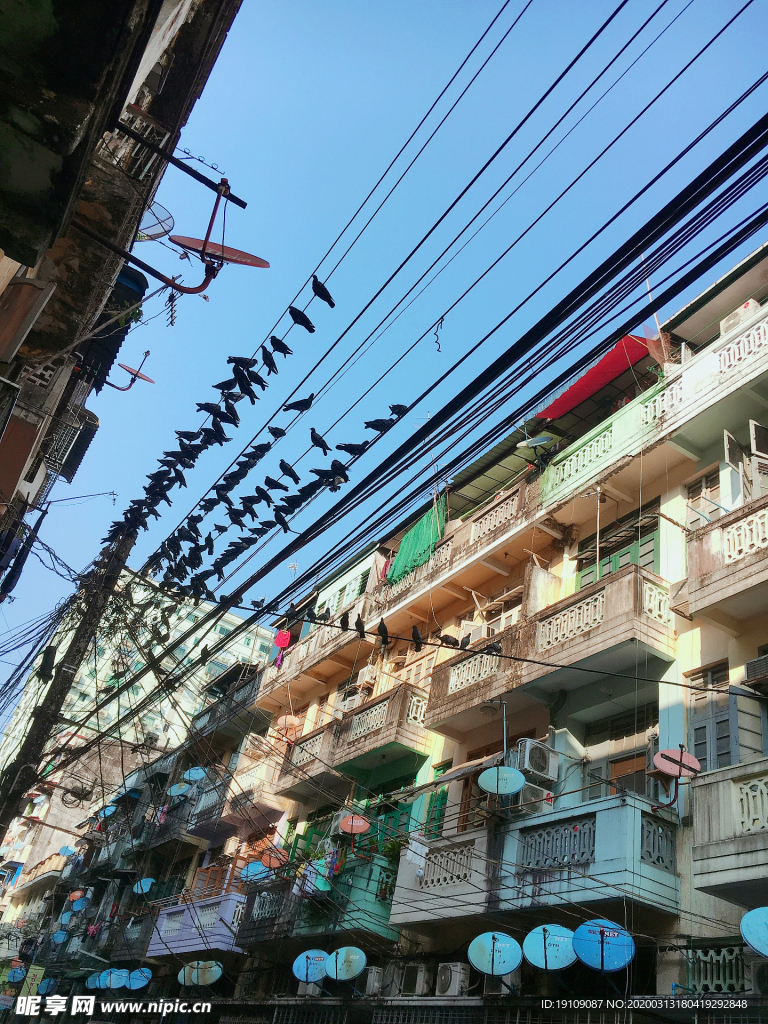 城市楼房电线