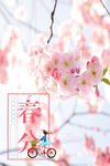 梅花 桃花