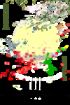 莺歌燕舞