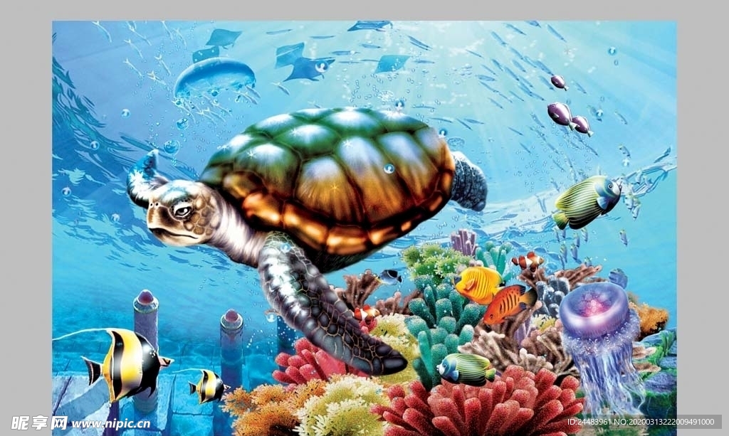 海底世界海龟