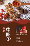 护芳阁御方中阳灸海报